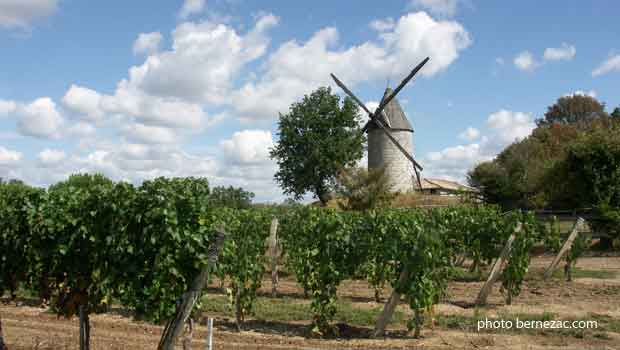 Saint-Thomas de Conac, le Moulin de la Croix et les vignes saintongeaises