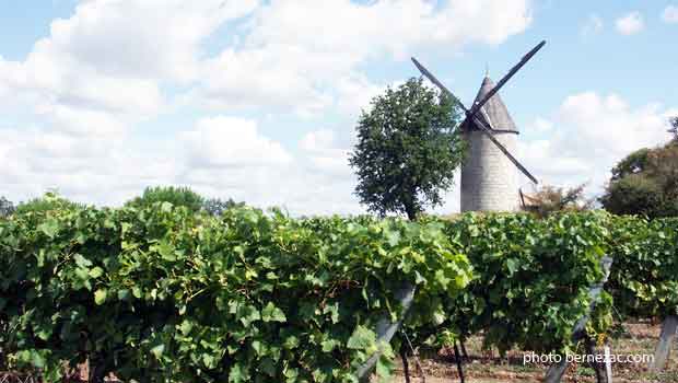 Moulin de la Croix à Saint-Thomas-de-Conac