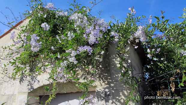 Talmont-sur-Gironde