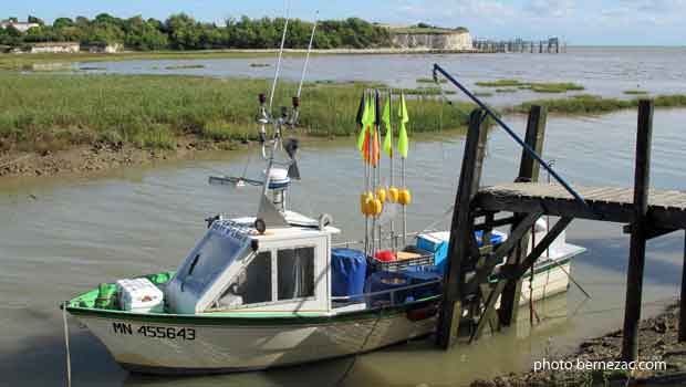 Talmont-sur-Gironde, le port et la falaise du Caillaud