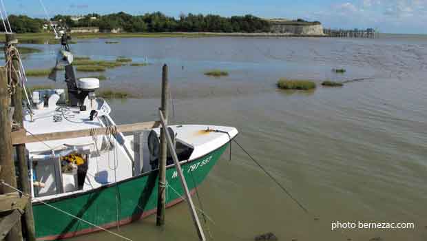 Talmont-sur-Gironde, le port et la falaise du Caillaud