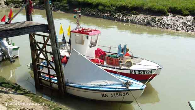 Talmont-sur-Gironde, le port, yole