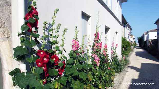 Talmont-sur-Gironde, ruelles