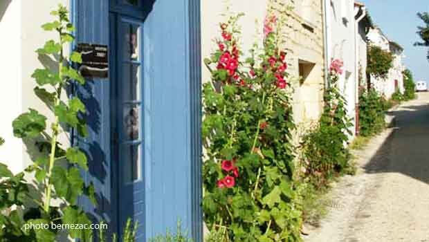 Talmont-sur-Gironde, ruelles et roses trémières