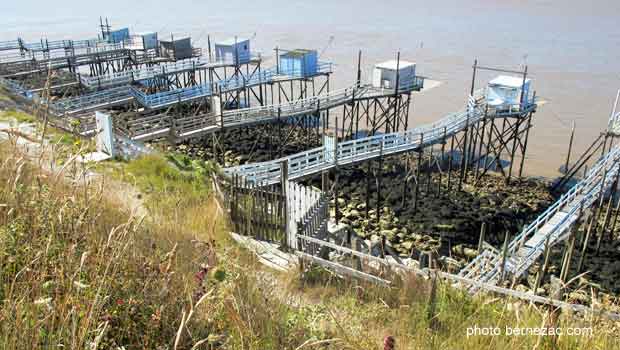 Talmont-sur-Gironde, les carrelets de la falaise du Caillaud