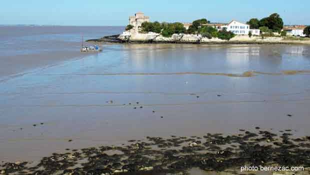 Talmont-sur-Gironde vue depuis la falaise du Caillaud