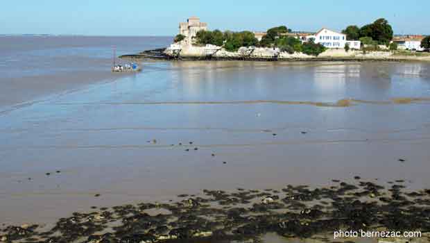 Talmont-sur-Gironde vue depuis la falaise du Caillaud