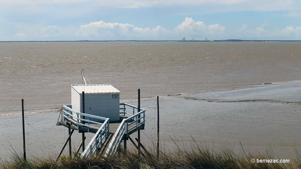 Talmont-sur-Gironde, falaise du Caillaud