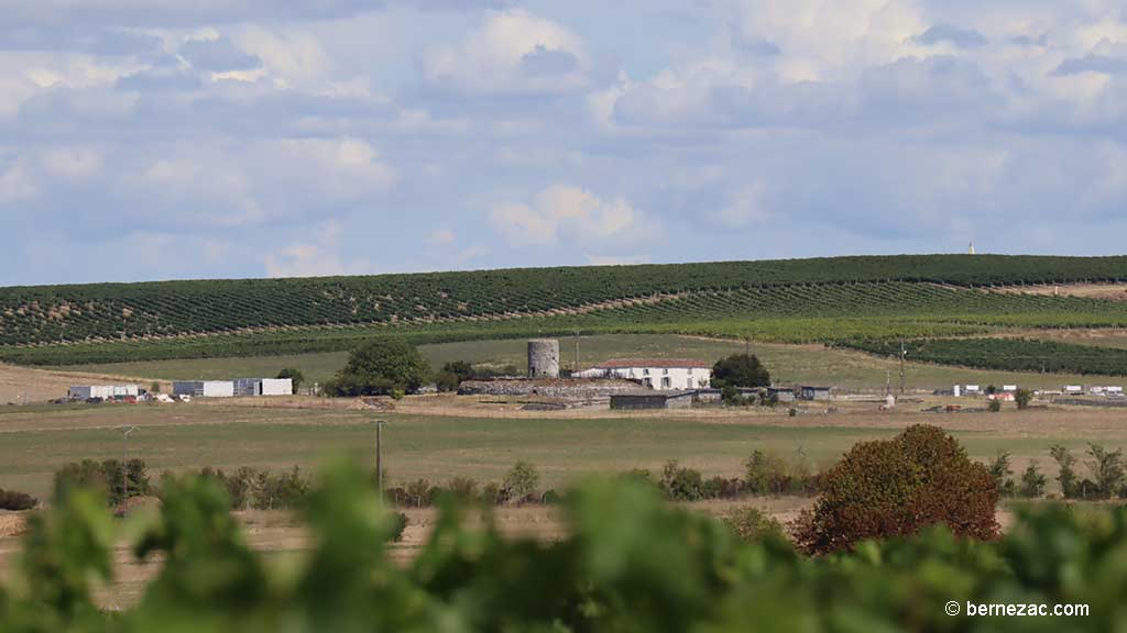 Talmont-sur-Gironde, la falaise du Caillaud, vue sur le site gallo-romain du Fâ, chemin