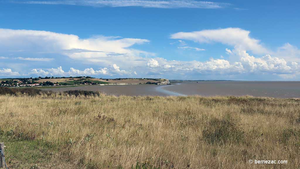 almont-sur-Gironde, la falaise du Caillaud, chemin