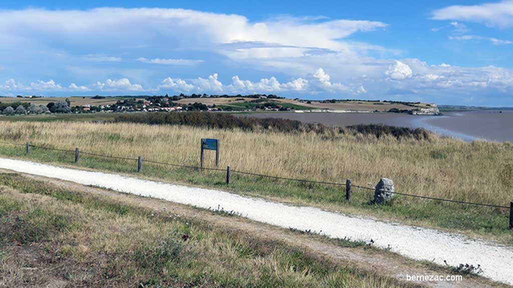 almont-sur-Gironde, la falaise du Caillaud, chemin