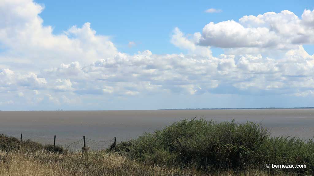 Talmont-sur-Gironde, la falaise du Caillaud, chemin