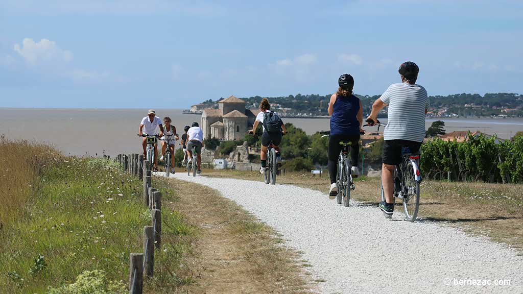 Talmont-sur-Gironde, la falaise du Caillaud, chemin