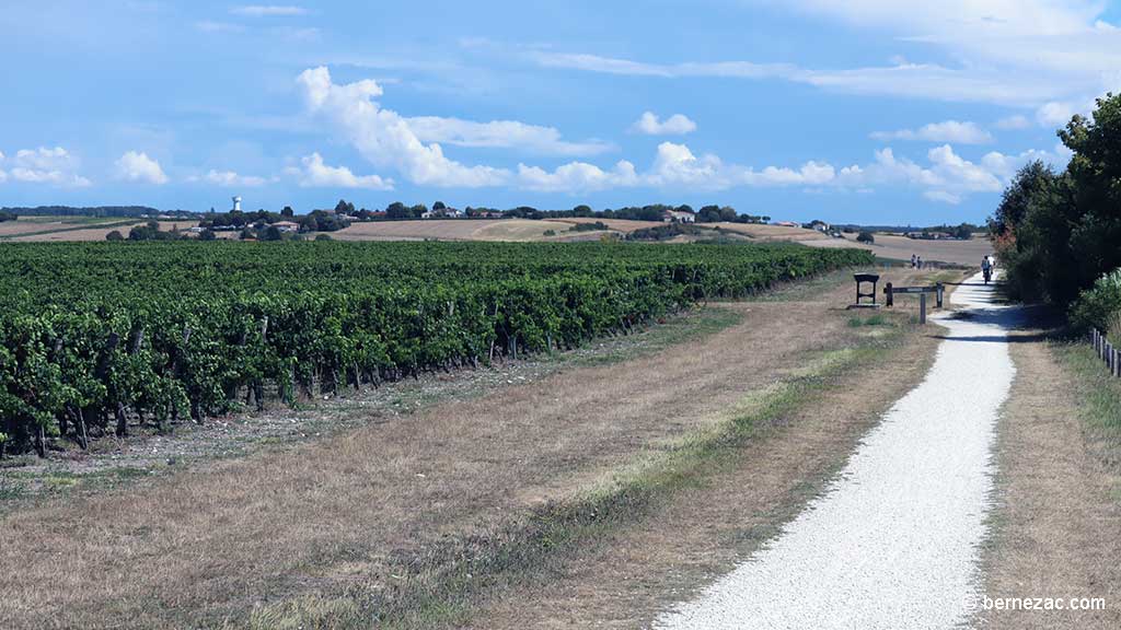 Talmont-sur-Gironde, la falaise du Caillaud, chemin