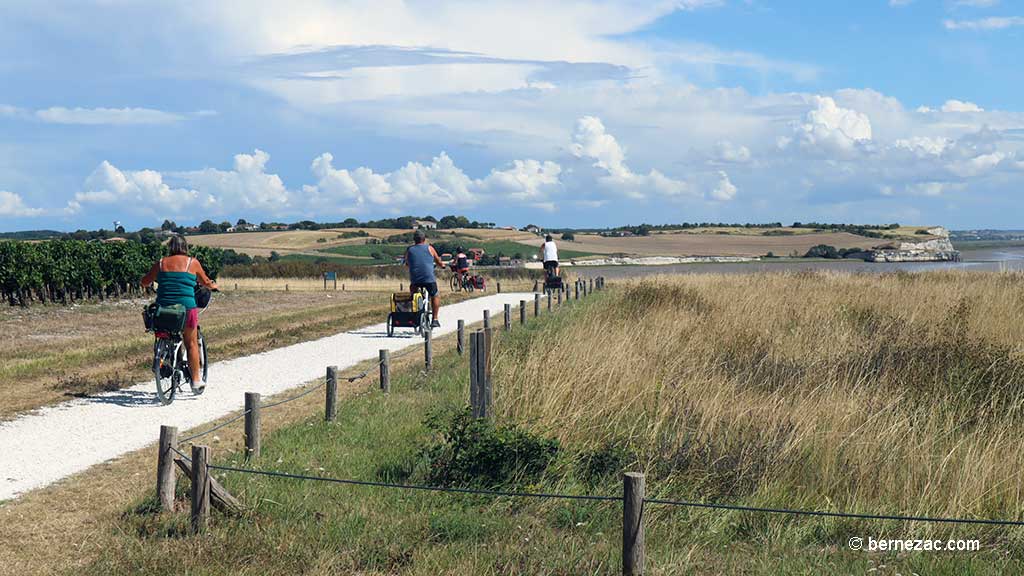 Talmont-sur-Gironde, la falaise du Caillaud, chemin