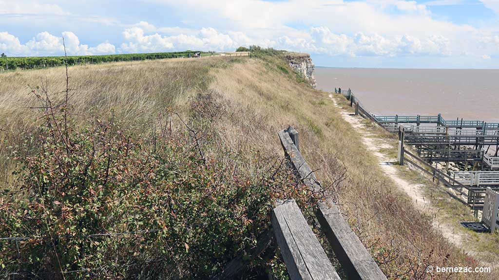 Talmont-sur-Gironde, la falaise du Caillaud, chemin