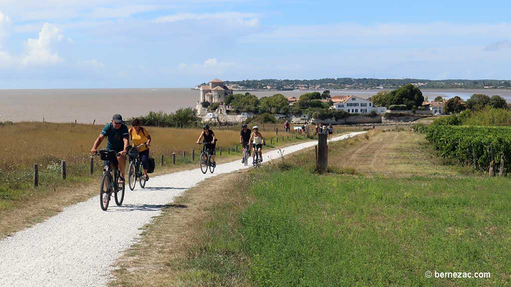 Talmont-sur-Gironde, la falaise du Caillaud, chemin