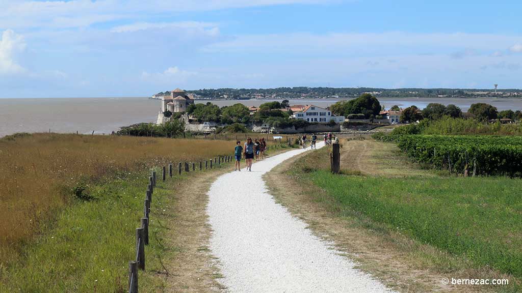 Talmont-sur-Gironde, la falaise du Caillaud, chemin