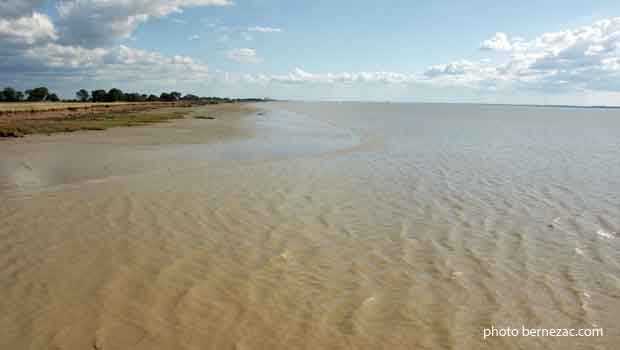 La Gironde à Port Vitrezay, vue vers le sud