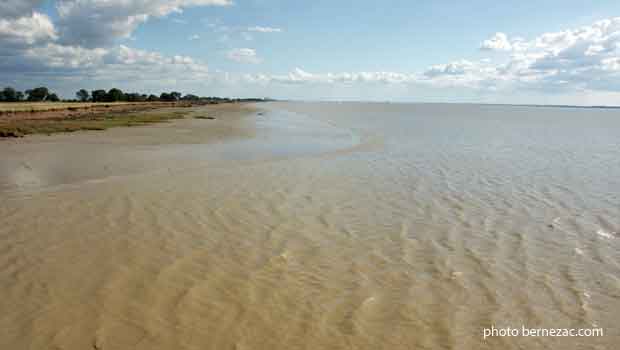 La Gironde à Port Vitrezay, vue vers le sud