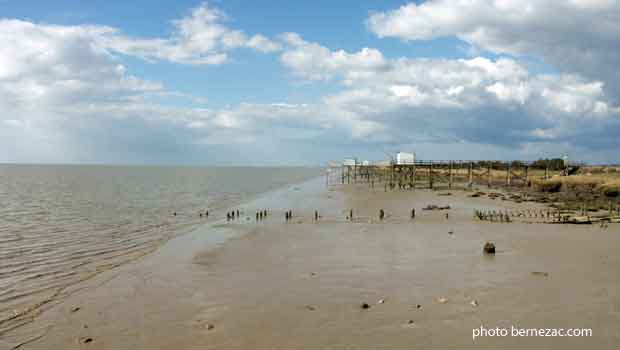 La Gironde à Port Vitrezay, vue vers le nord