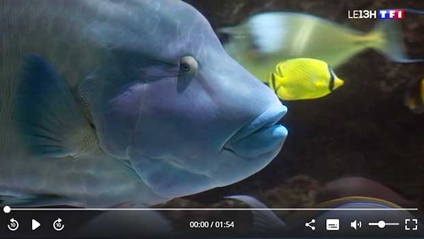 aquarium La Rochelle