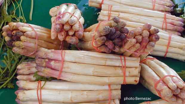 asperges du Blayais