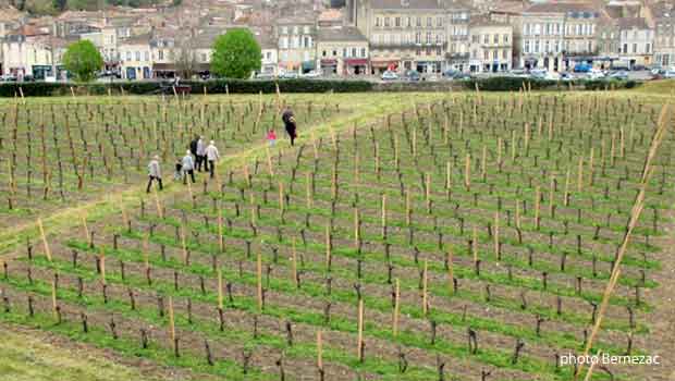 Blaye - le Clos de l'Echauguette domine la ville