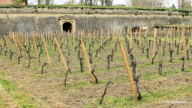 Blaye - le Clos de l'Echauguette en avril