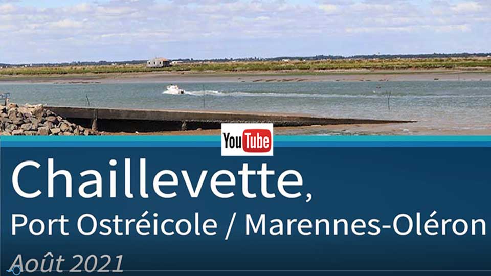 chaillevette port ostreicole