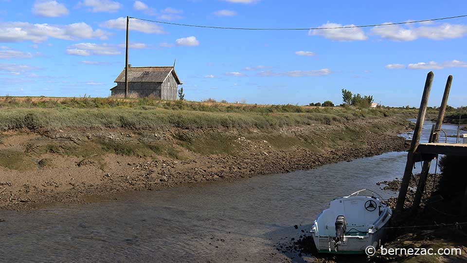 chaillevette, cabanes ostréicoles