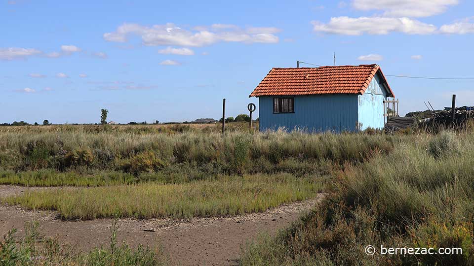 chaillevette, cabanes ostréicoles