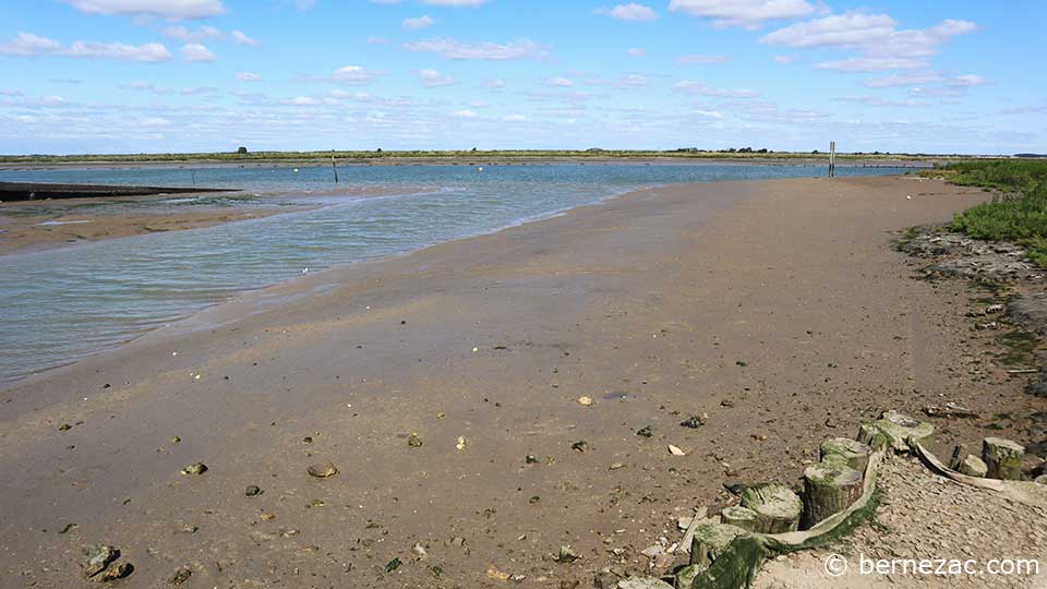 la Seudre à chaillevette port ostréicole