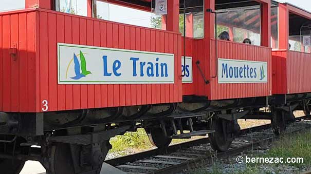 le train des mouettes à Chaillevette