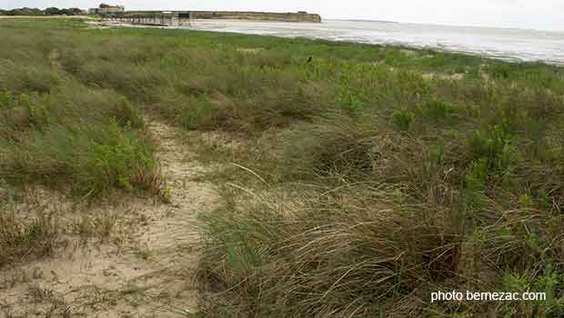 la réserve naturelle du marais d'Yves d'Yves