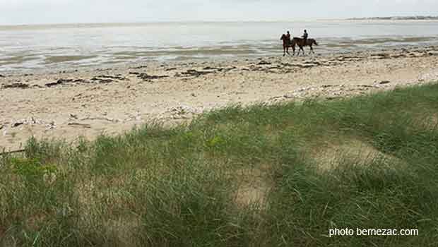 la réserve naturelle du marais d'Yves d'Yves