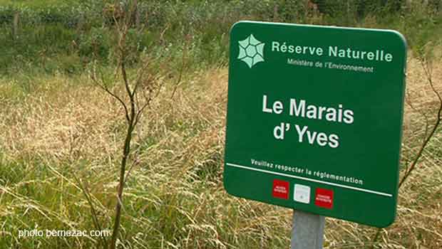 la réserve naturelle du marais d'Yves d'Yves