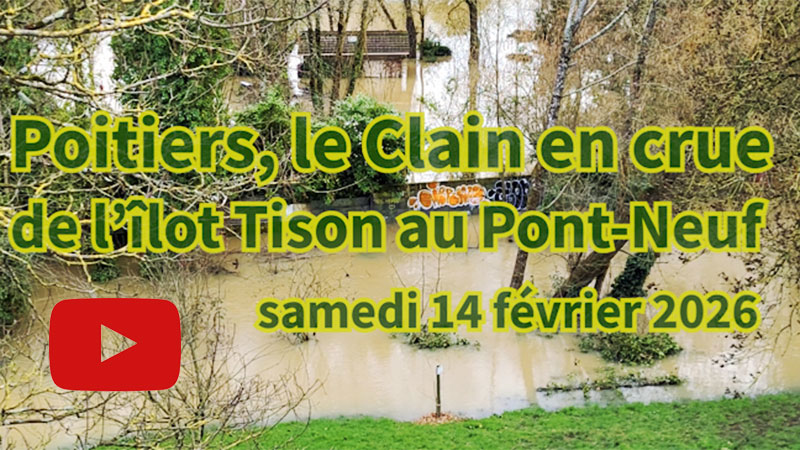 Poitiers, le Clain en crue, février 2026