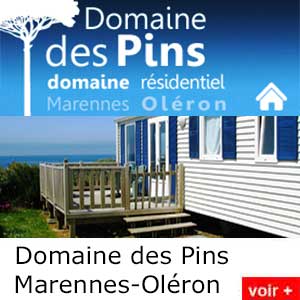 domaine des pins marennes