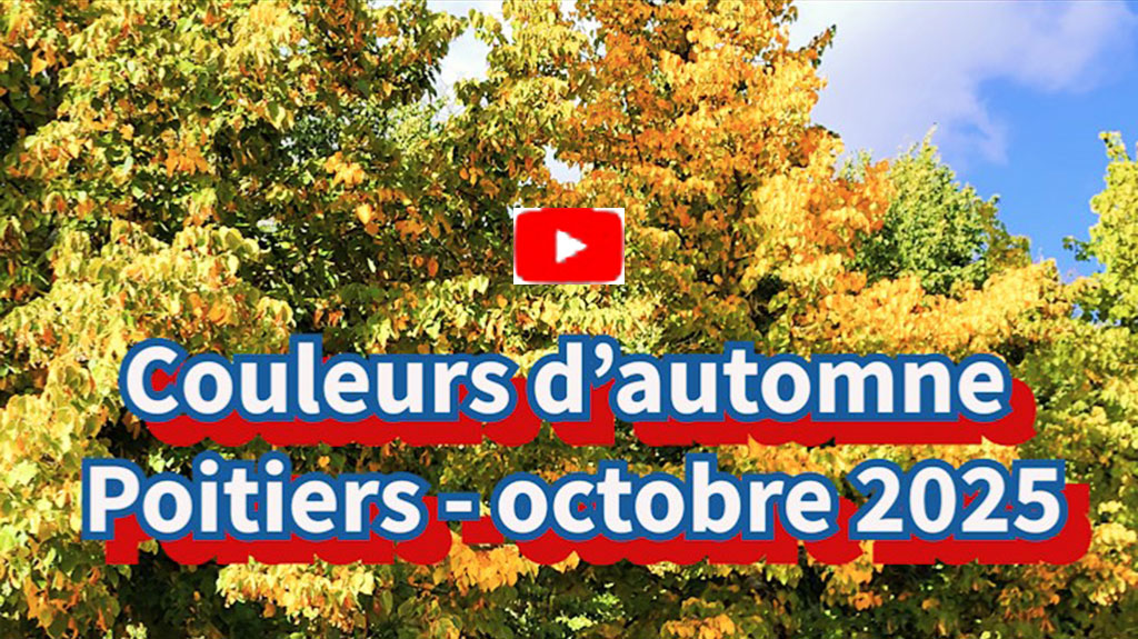 Poitiers couleurs d'automne