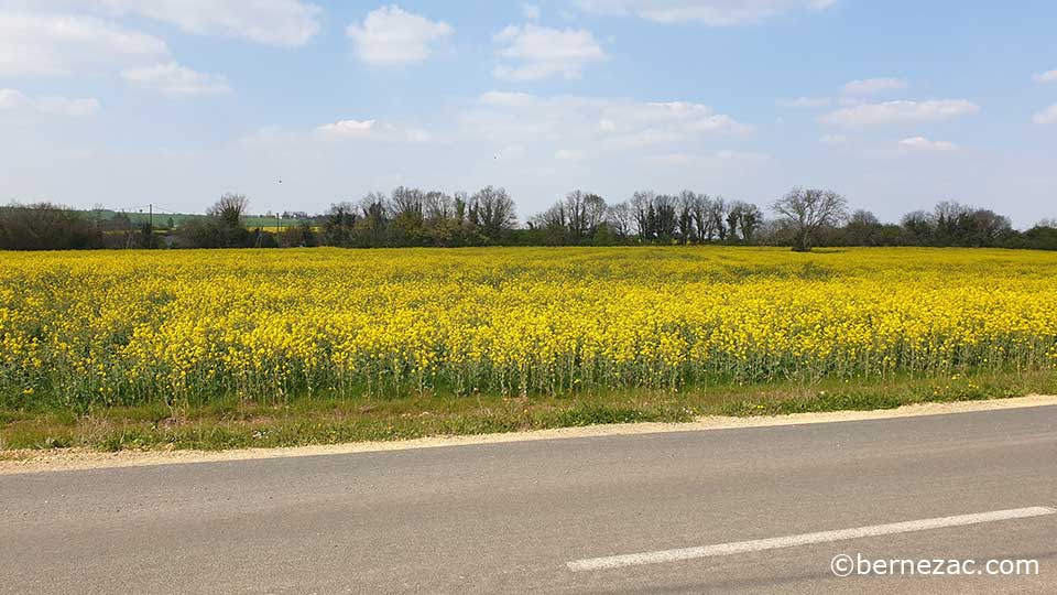 avril en nouvelle-aquitaine