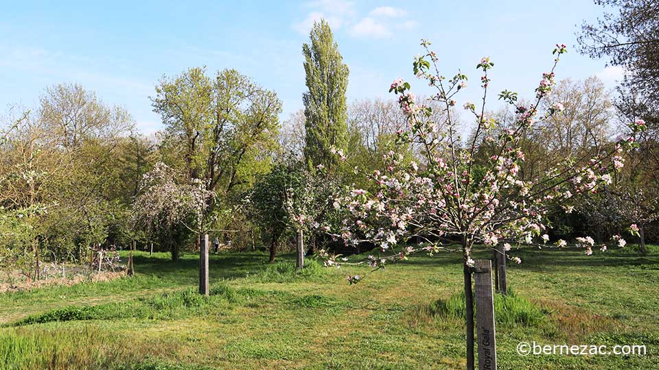 avril en nouvelle-aquitaine