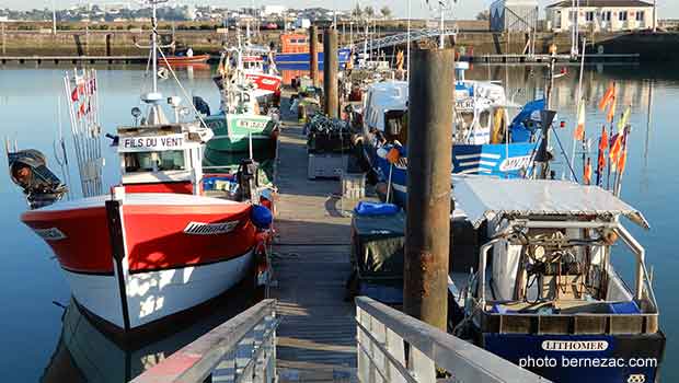 Royan port de pêche, chalutiers