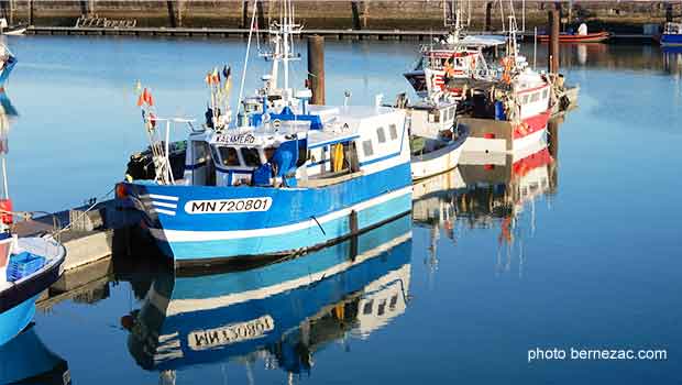 Royan port de pêche