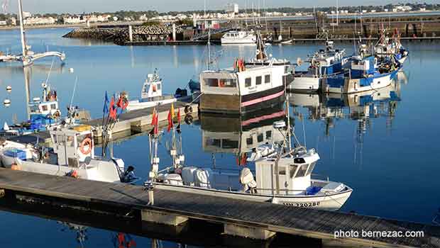 Royan port de pêche vue générale