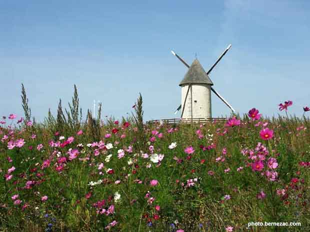 Jonzac, le moulin à vent du Cluzelet