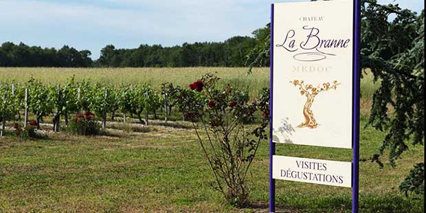 château La Branne Médoc