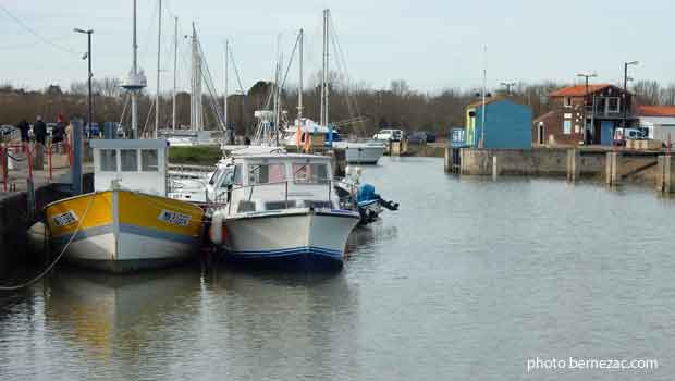 Meschers, le port, pêche et plaisance