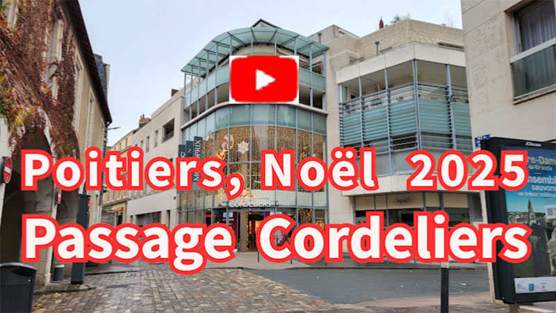 Passage Cordeliers Noël 2025