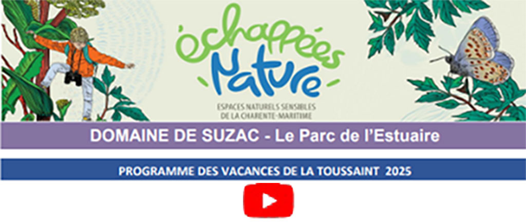 parc-estuaire-programme-Toussaint-2025